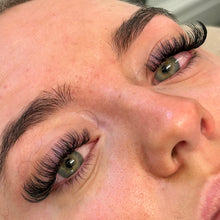 Load image into Gallery viewer, Year Of Hybrids