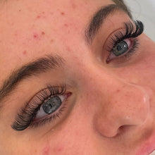 Load image into Gallery viewer, Year Of Hybrids